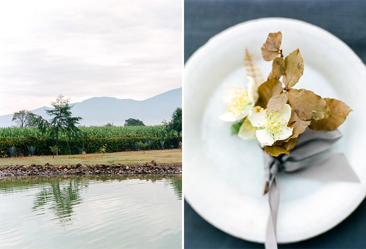 View of Jalisco countryside and mountains in the backdrop on the right and plate decorated with floral design on the right