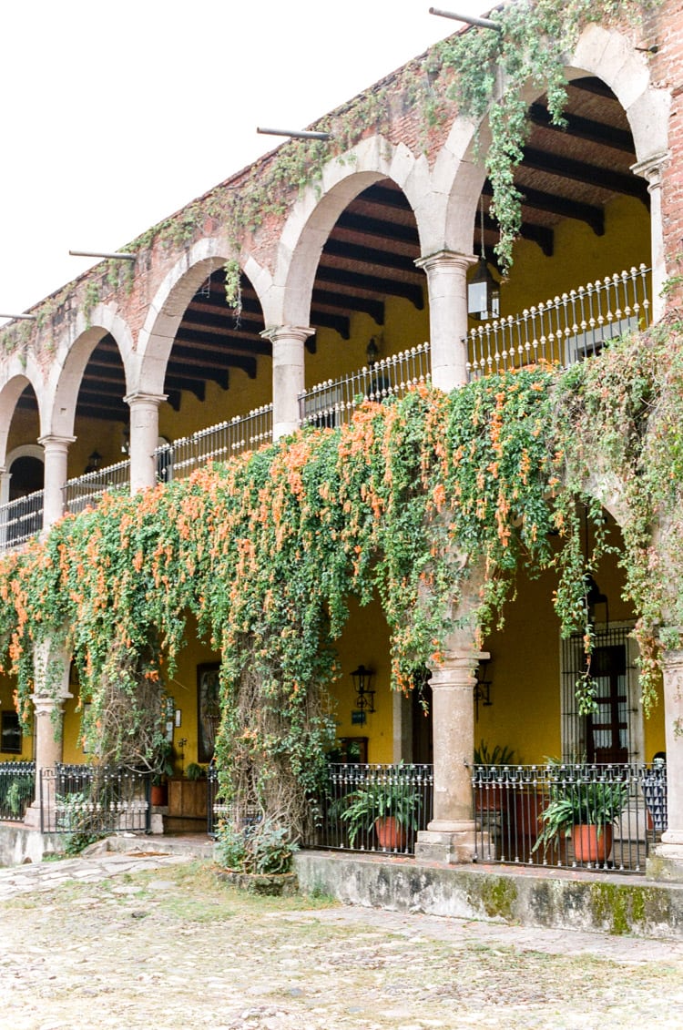 Vegetation growing on the Hacienda Labor De Rivera