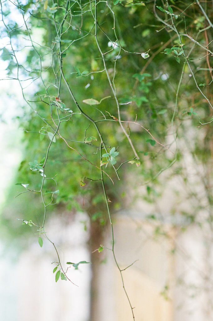 la coquillade provencal summer wedding 6