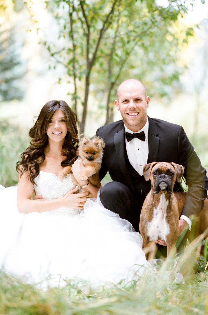 Telluride wedding couple with their puppies