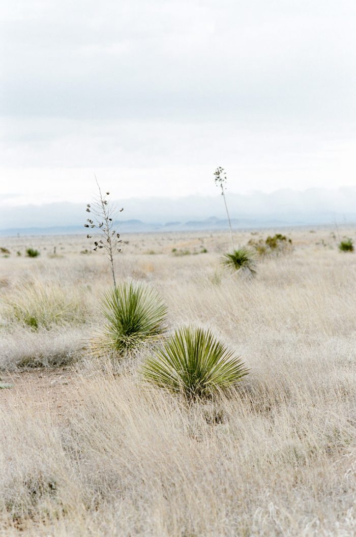 Desert wedding in Marfa Texas