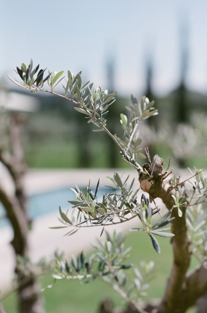 domaine de manville engagement provence 42 e1539302648515