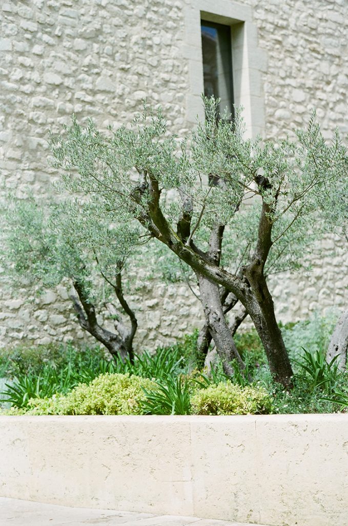 domaine de manville engagement provence 46 e1539302605333