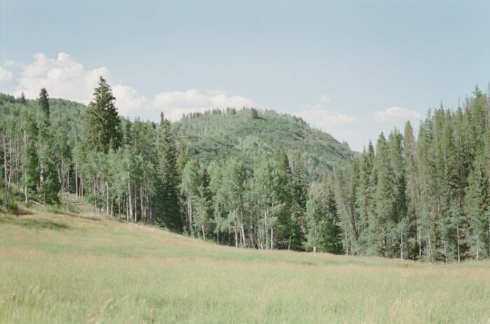 Scenery at Eaton Ranch in Vail Colorado