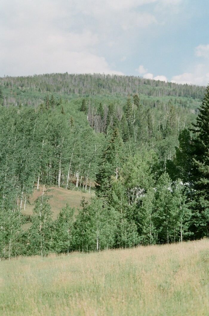 Scenery at Eaton Ranch in Vail Colorado