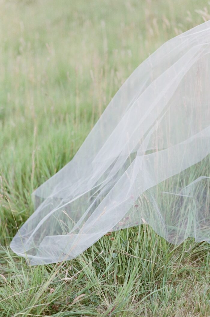 Veil touching grass at Eaton Ranch
