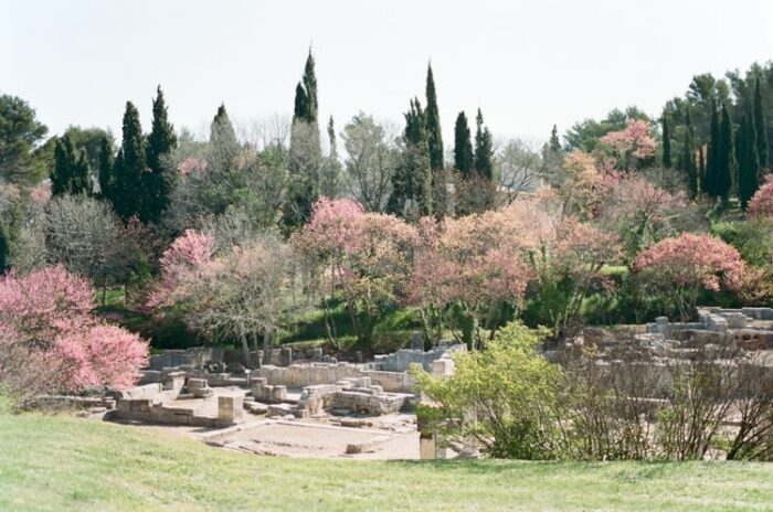 glanum wedding provence 31