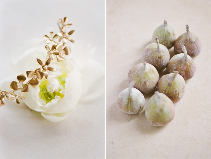 Styled shoot collage of flower and plant bulbs