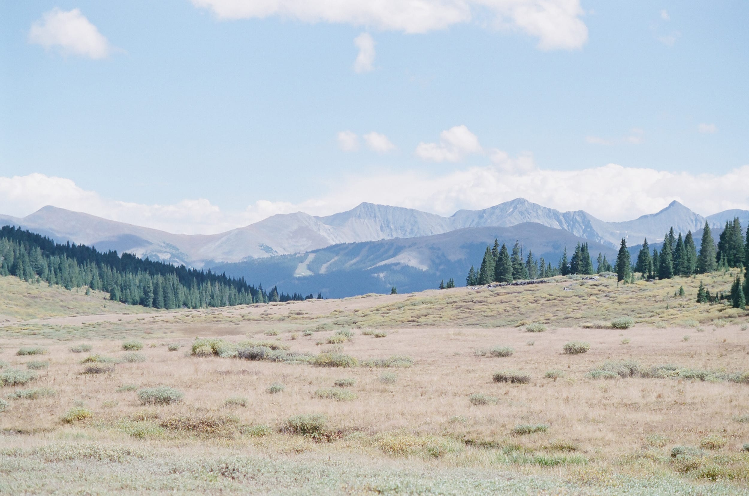 Vail Valley in summer