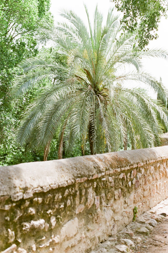 cordoba spain summer wedding tamara gruner photography 29
