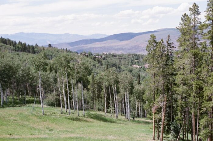View of Colorado mountains and trees