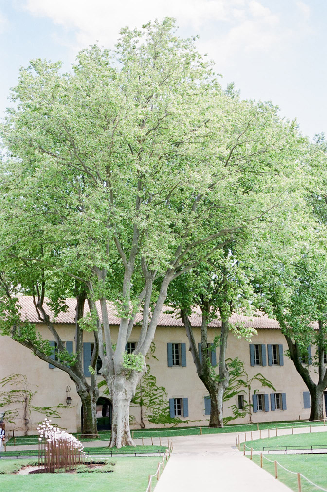 Large trees in front of building