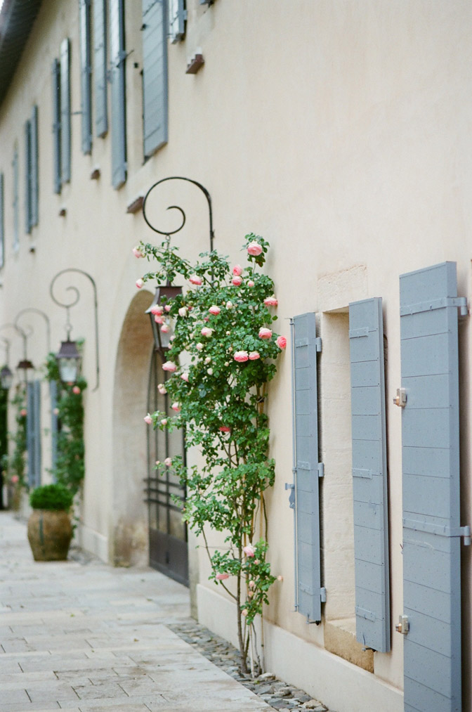 Close up of building's exterior window shutters and greenery on wall