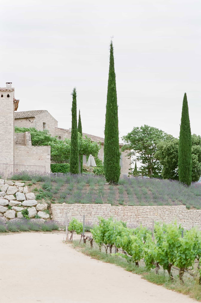 Vegetation and greenery at estate