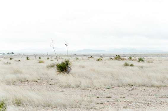 Intimate backyard wedding in Marfa Texas 1