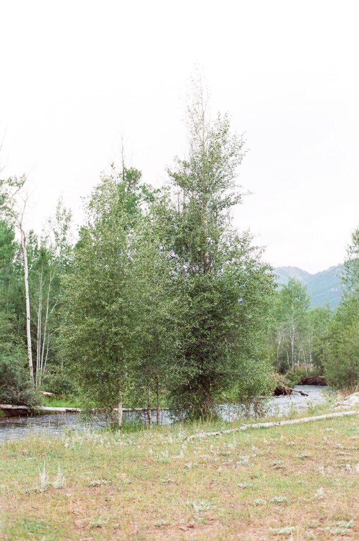 Snake River Ranch premises