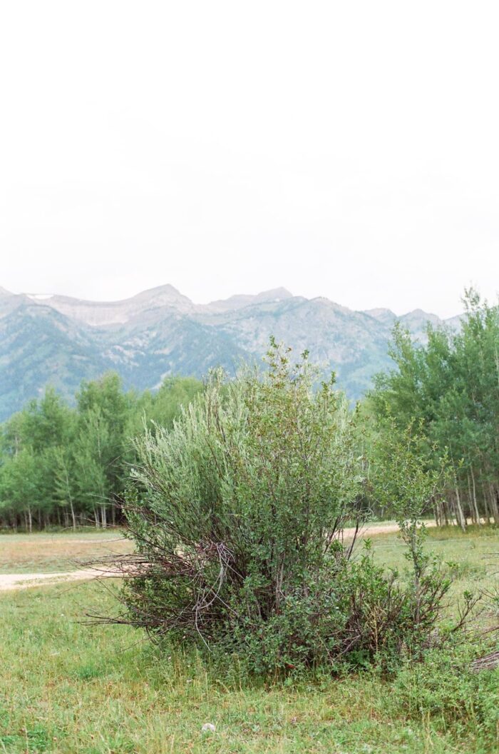 Grand Teton views at Snake River Ranch
