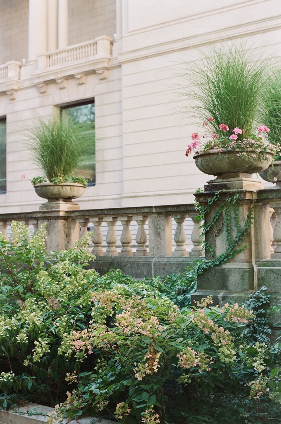 Potted plants at the Chicago Art Institute