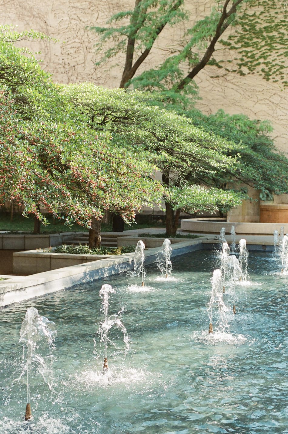 Water fountain at Chicago Art Institute South Garden