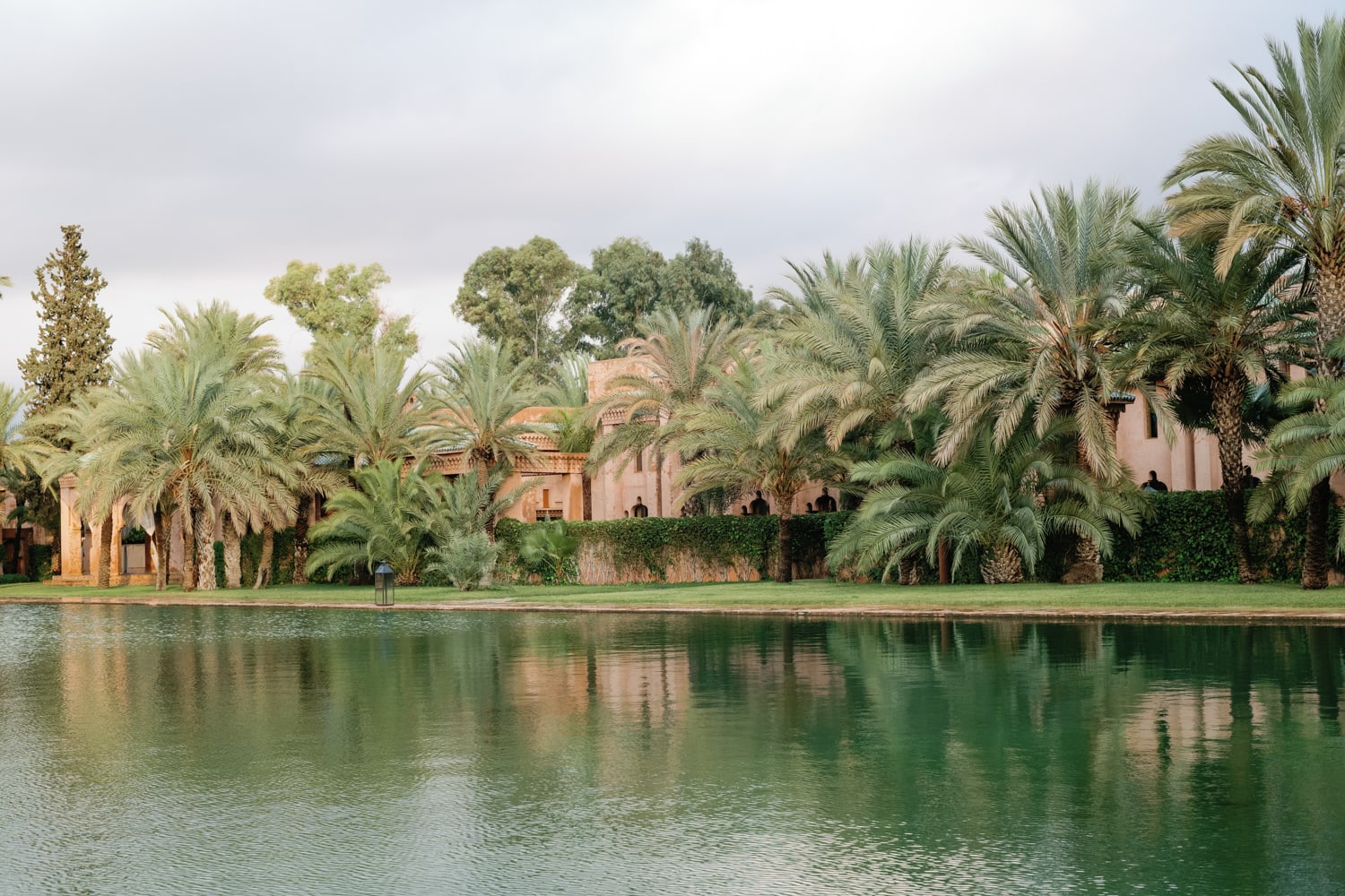 Palm trees at Amanjena in Marrakech