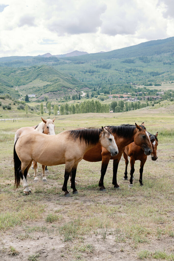 Hotel Jerome Aspen Summer Wedding 65