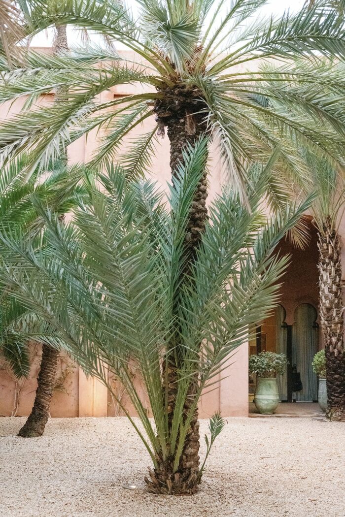 Amanjena Marrakech Morrocco 23