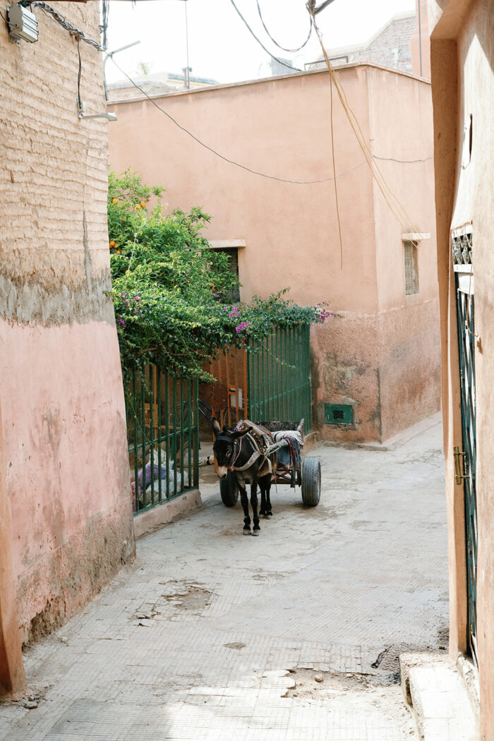 Amanjena Marrakech Morrocco 68