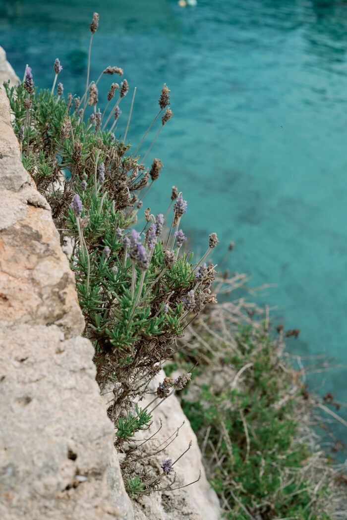 Cala Figuera mallorca spain 39