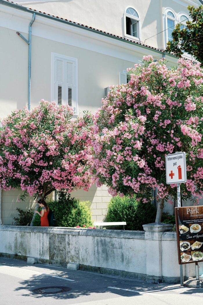 Piran Slovenia 4
