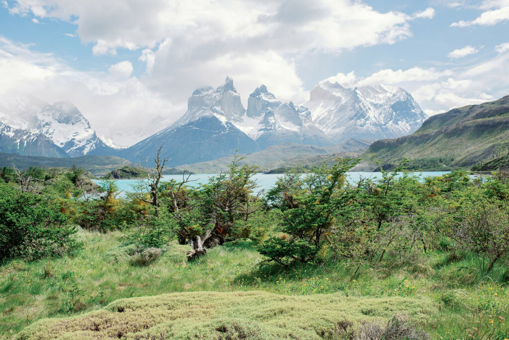 Torres del Paine Chile Patagonia Spring 39