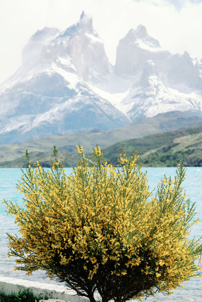Torres del Paine Chile Patagonia Spring 52