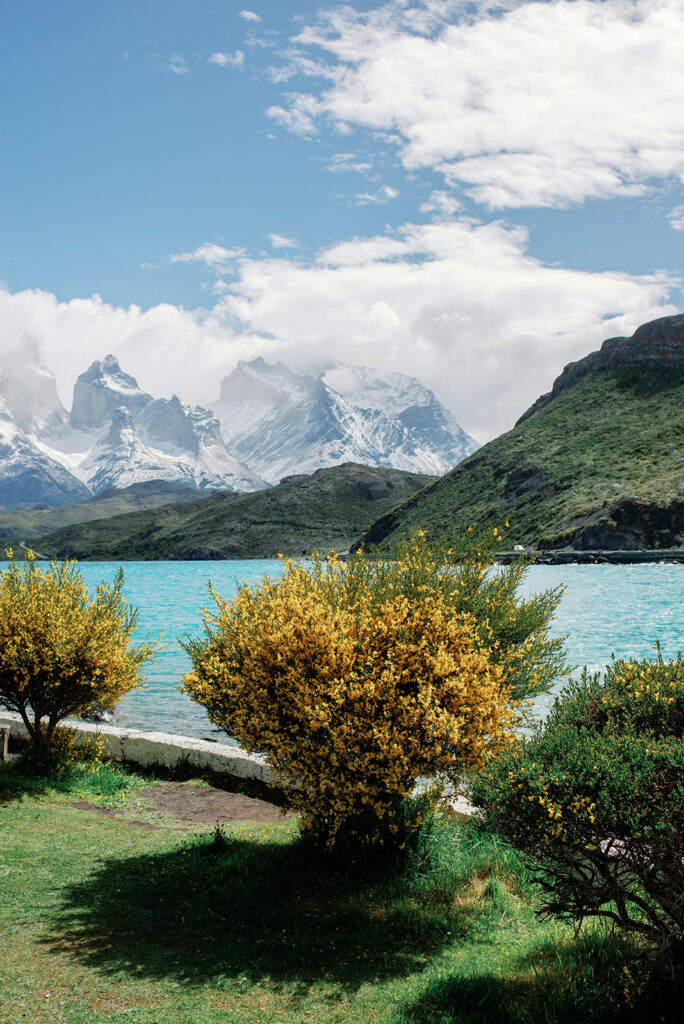 Torres del Paine Chile Patagonia Spring 54