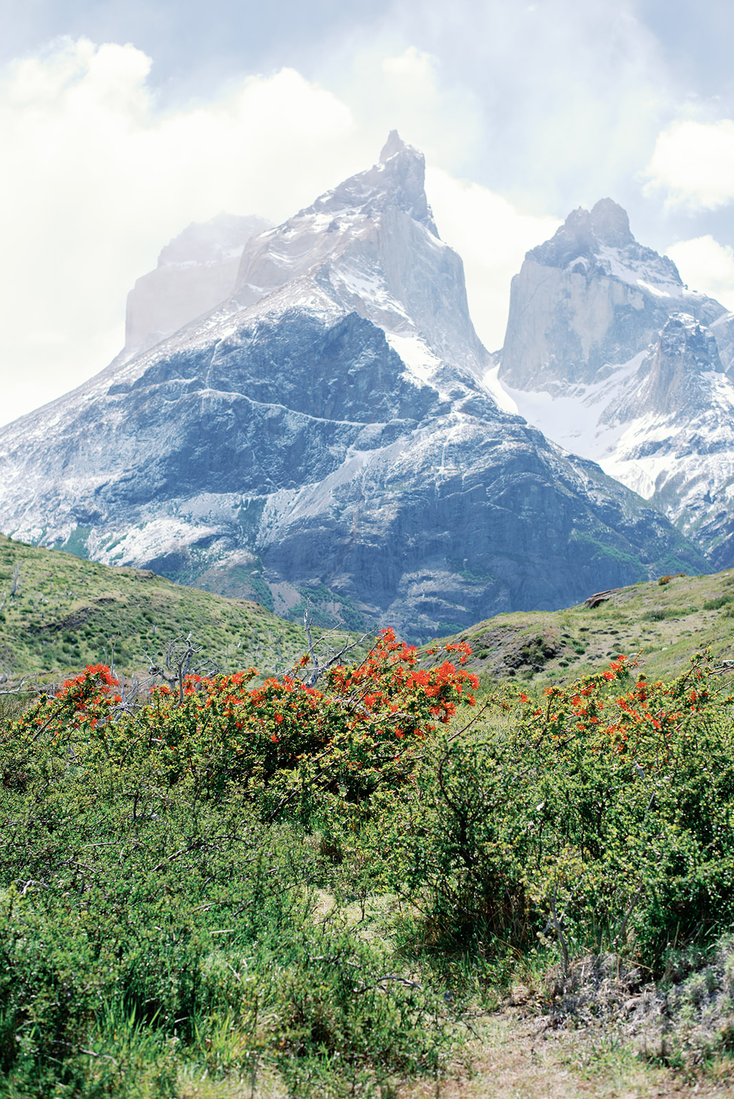 los cuernos del paine patagonia 19