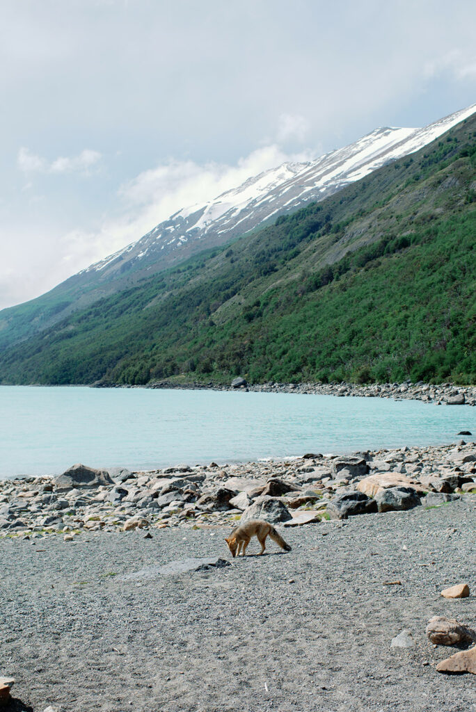 perito moreno glacier argentina 12